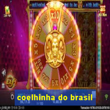 coelhinha do brasil